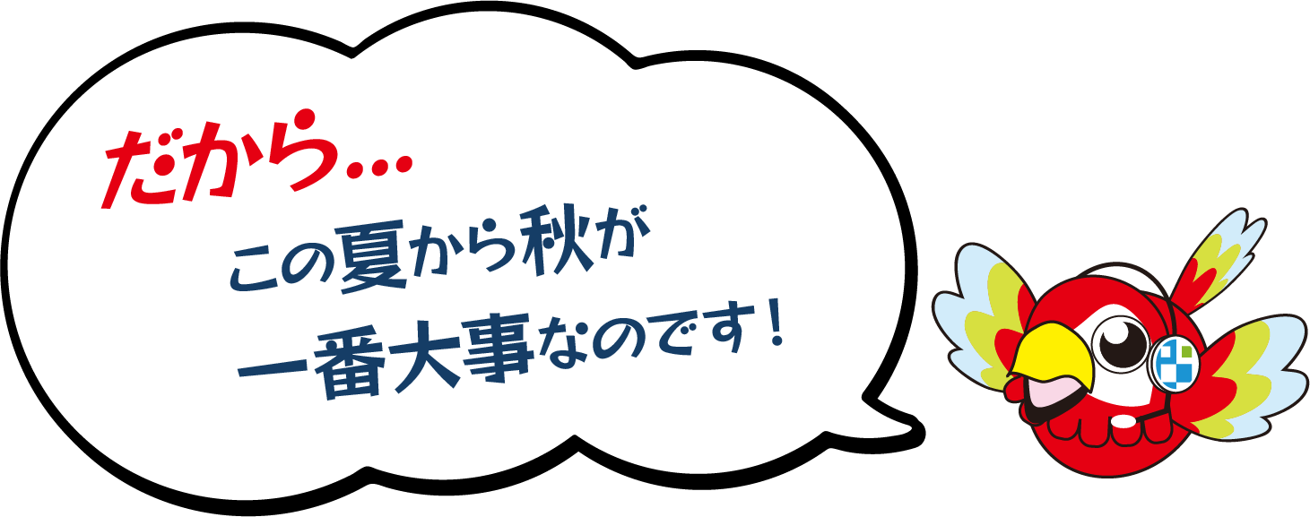 だから…　この夏から秋が、一番大事なのです！